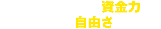 不動産担保ローンの資金力にカードローンの自由さをプラス